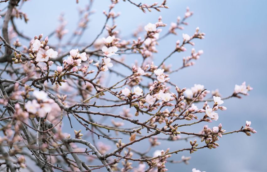 junaid-aziz-t3qK9z3Ku4U-unsplash