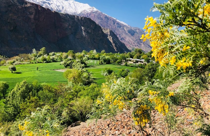 tariq-iqbal-KDvhMwrYEcw-unsplash